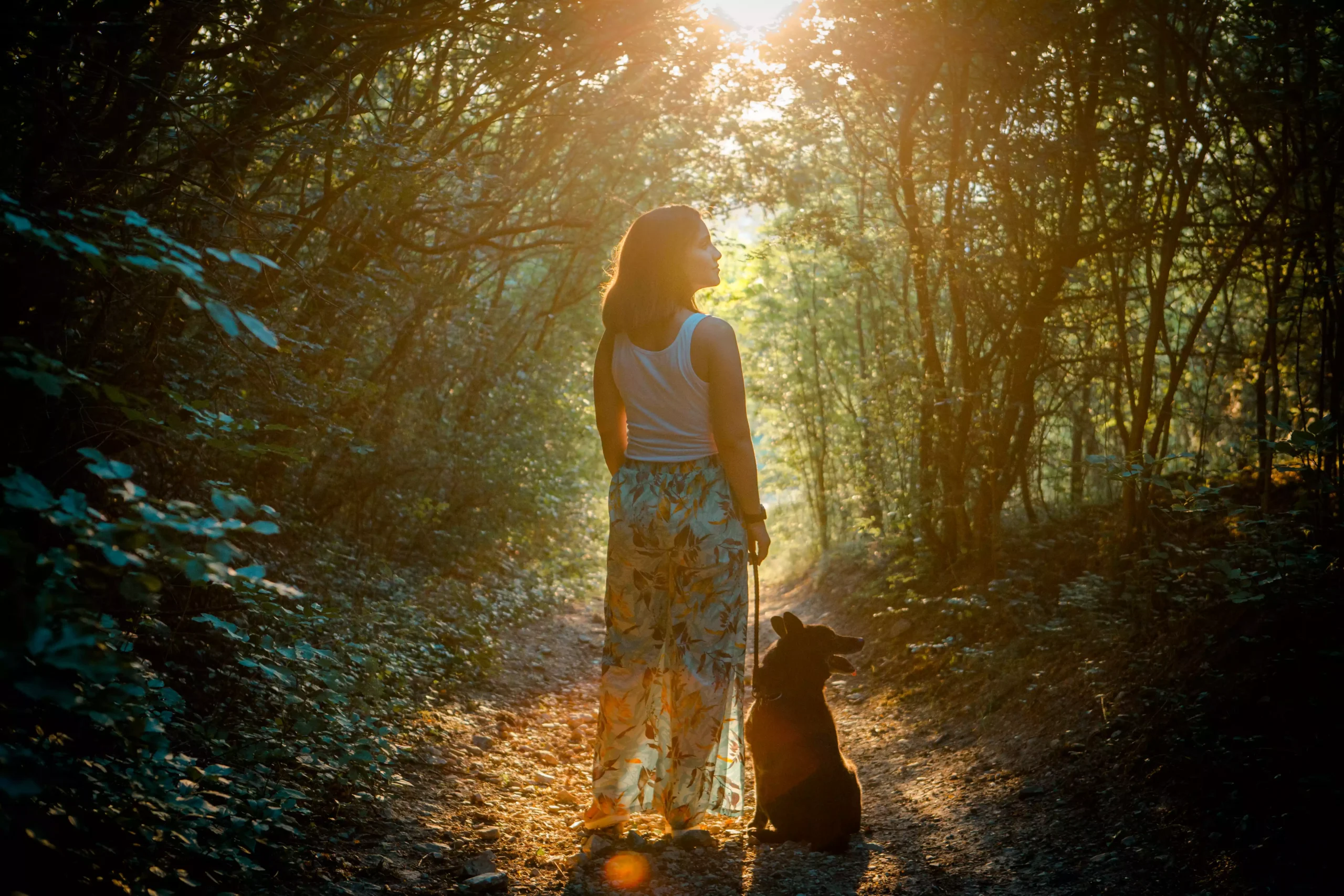 Dreamlens hero background